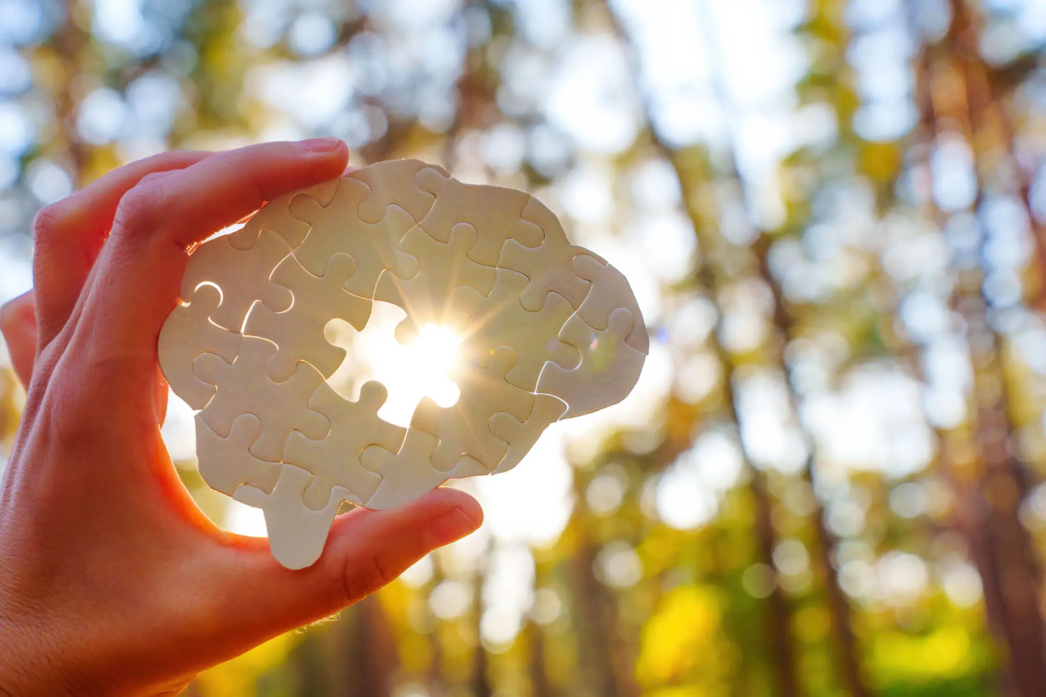 Sunlight through puzzle